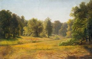 Park Park