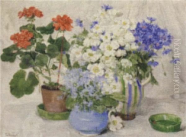 Primulas, Anenomes, Cornflowers In Vases And Pelargoniums In A Pot On A Draped Table - view 1