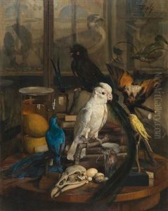 View Of The Ornithology Study At The Natural History Museum In Vienna