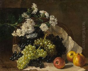 Autumn Still Life With Grapes