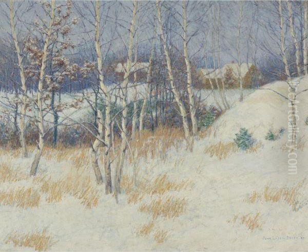 Stand Of Birch Trees In Winter - view 1