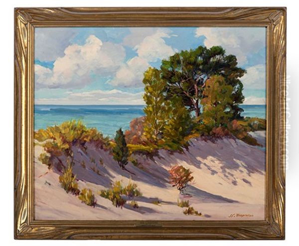 Shadows In The Sands - view 1