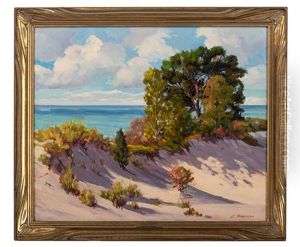 Shadows In The Sands