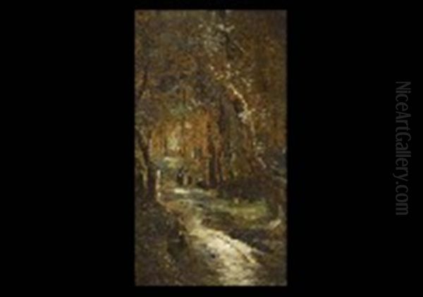 Landscape Of Pathways - view 1