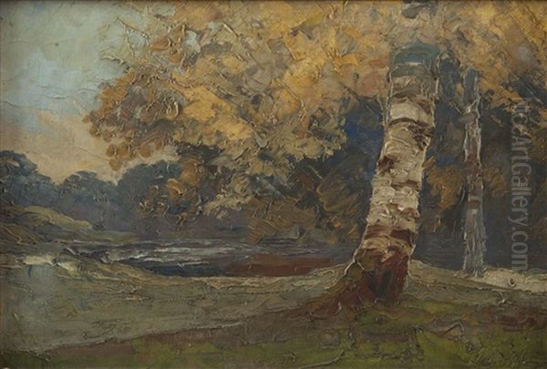Birch On The Edge Of Forest - view 1