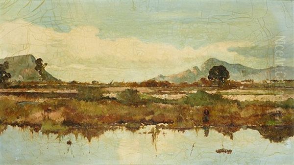 Pareja De Vistas De S'albufera - view 1