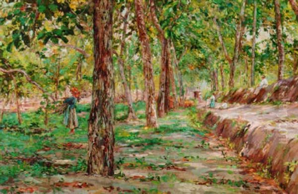Gathering Wood - view 1