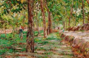 Gathering Wood by Fulvio Tessitore
