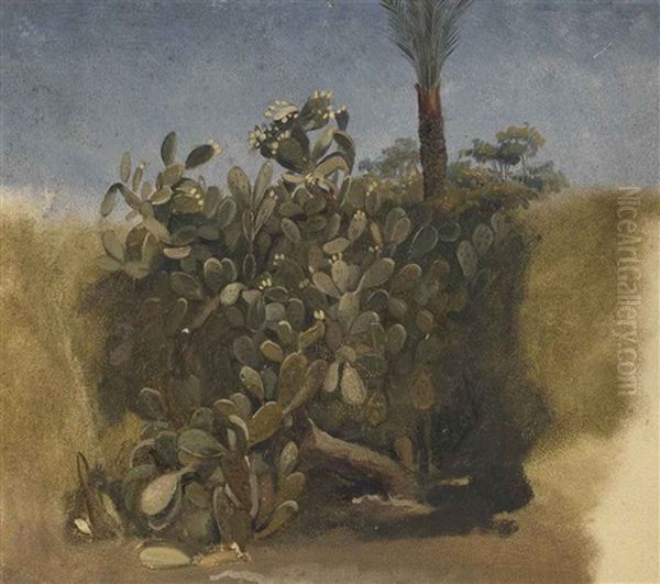 Study Of A Cactus, And Trees Behind - view 1