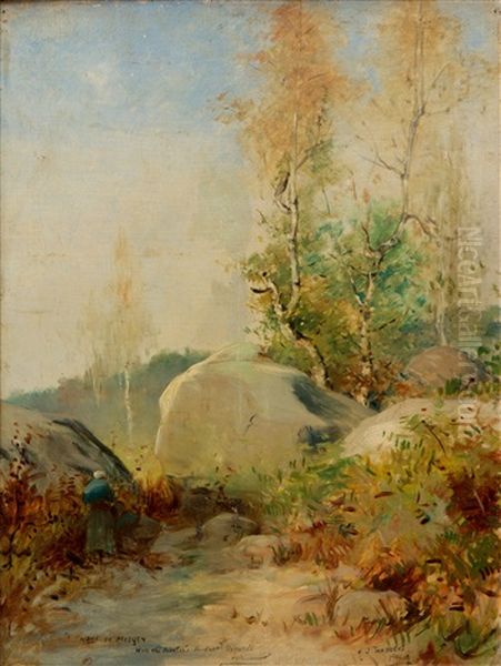 Landschap Met Berkenbomen En Keien - view 1