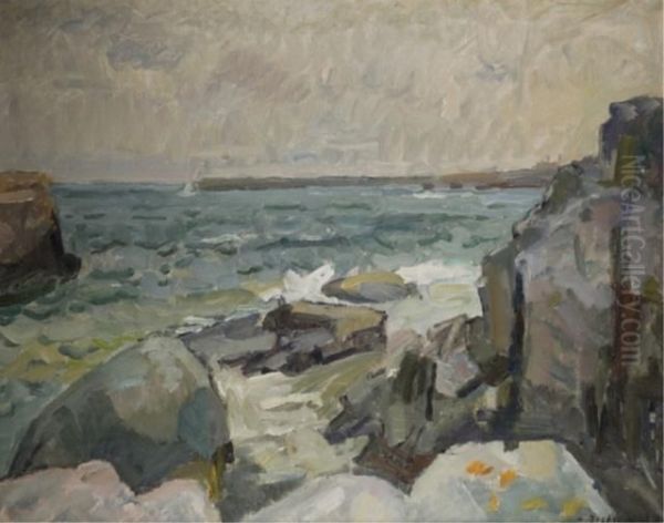 Rocky Shoreline - view 1