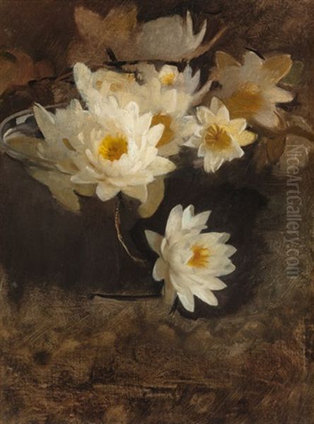 Water Lilies - view 1