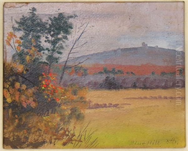 Blue Hill - view 1