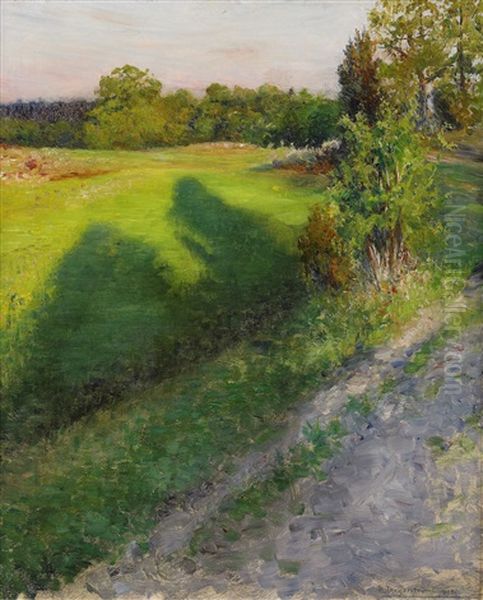 Sommarlandskap I Aftonrodnad - view 1
