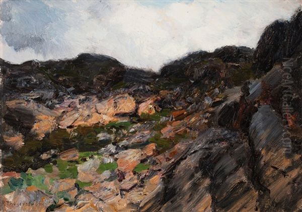 Uppe I Bergen, Dalaro (up In The Mountains, Dalaro) - view 1