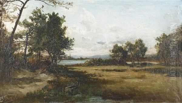 Sommerliche Heidelandschaft - view 1