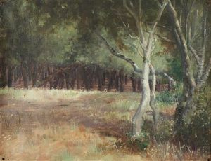 A Floresta A Floresta