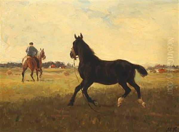 Horses In The Field - view 1