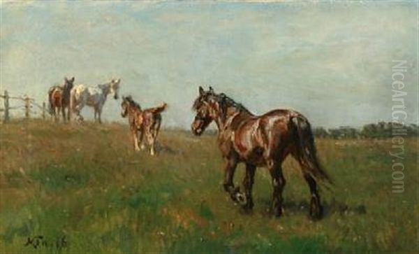 Landscape With Horses In A Paddock - view 1