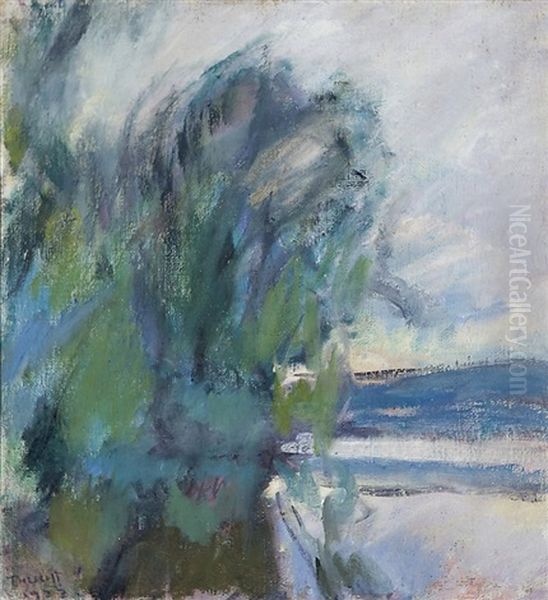 Landscape From Murole In Ruovesi Finland - view 1