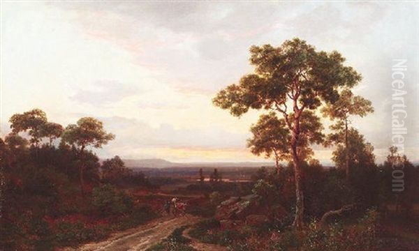 Weite Sommerliche Landschaft Im Abendrot - view 1