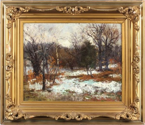 Snow - view 1