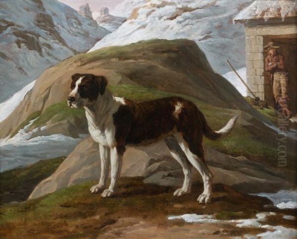 Chien En Haute Montagne - view 1
