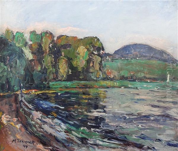 Uferpartie Am Neuenburger See - view 1