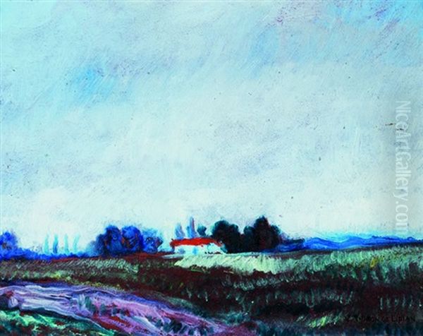 Paisaje - view 1