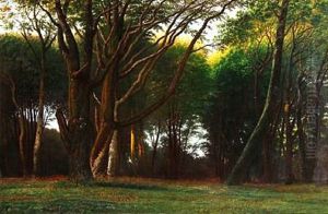 In The Woods by Anton Thiele