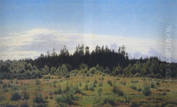 Eine Sommerlandschaft - view 1