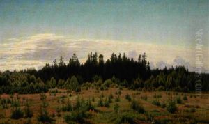 Sommerlandskab Med Granskov by Anton Thiele