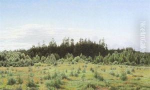 Blick Auf Besonnte Sommerliche Schonung Mit Waldhintergrund by Anton Thiele