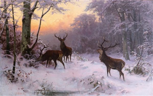 Deer In A Winter Woodland - view 1