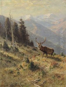 Hirsch Im Spatherbst