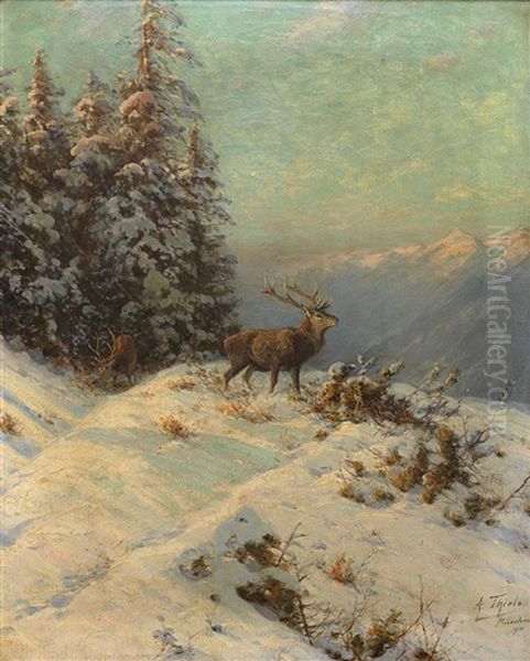 Ruckseitig Betitelt Winterabend Im Hochgebirg - view 1