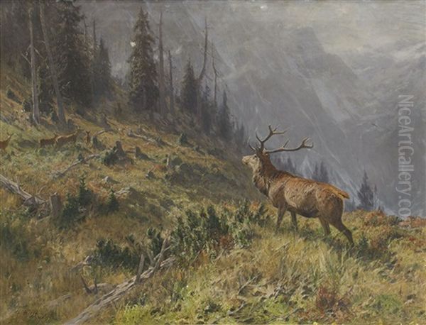 Hjortar I Alplandskap - view 1