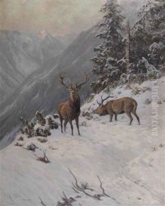 Red Deer Grazing In A Mountainous Winter Landscape