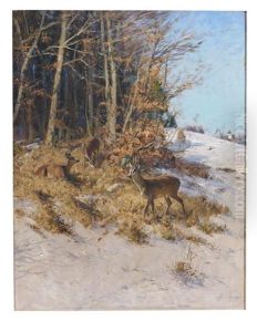 Rehe Im Spatherbst Rehe Im Spatherbst