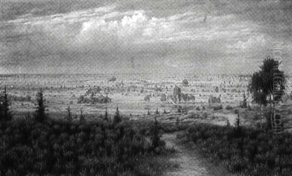 Extensive Landscape - view 1