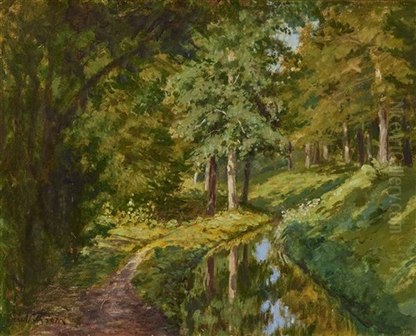 Forest Landscape - view 1