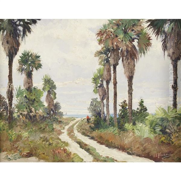 Palms - view 1