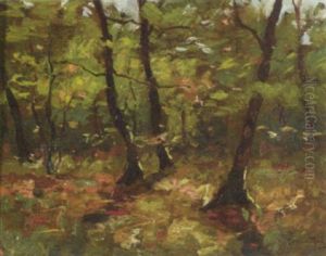 Woodland Grove