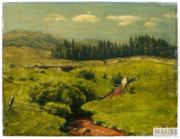 Der Braune Bach - view 1