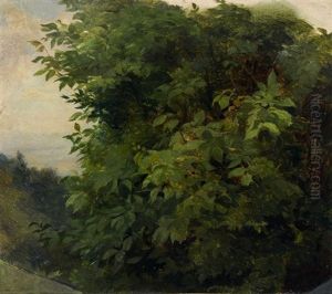 Gebusch Mit Seitlichem Talblick Gebusch Mit Seitlichem Talblick