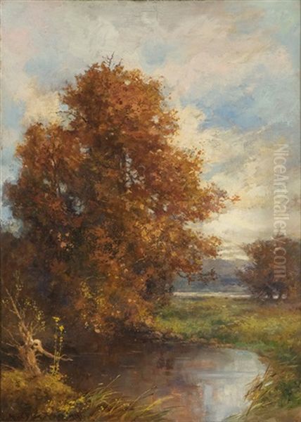 Elm Trees - view 1
