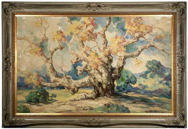 An Old Sycamore In The Grounds Of The Outpost, General Otis Place In Hollywood - view 1