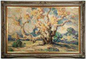 An Old Sycamore In The Grounds Of The Outpost, General Otis Place In Hollywood by Alice Blair Thomas