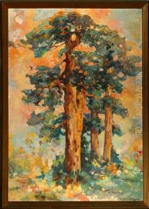 Landscape - Pine Trees