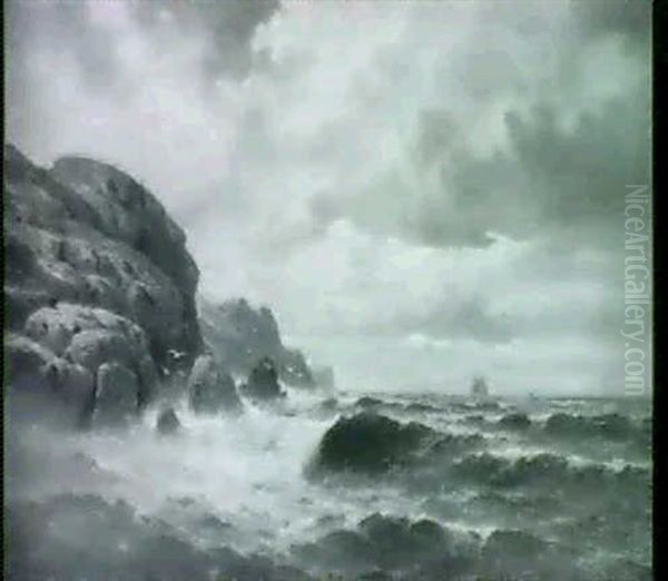 Rough Seas Along A Rocky Coast - view 1